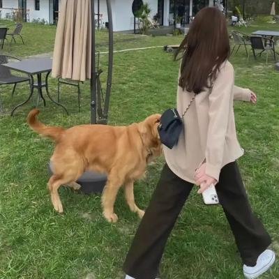 小狗吉米走私事件